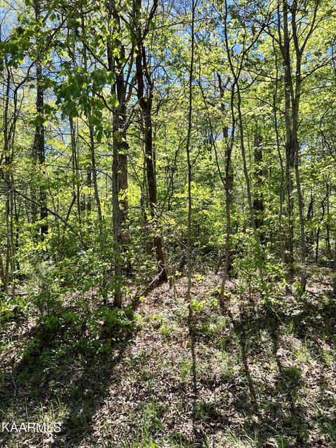 444 Beachwood Dr, Crossville, TN 38558