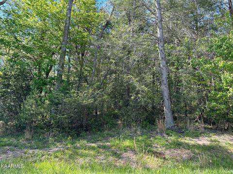Creek View Drive, Crossville, TN 38555