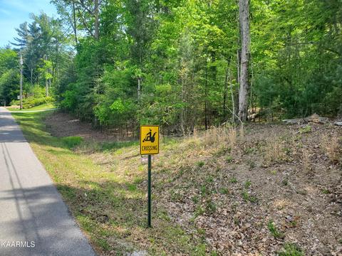 Wexford Lane, Fairfield Glade, TN 38558
