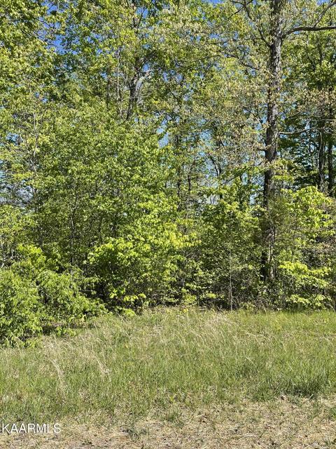 9 Tanner Drive, Crossville, TN 38571