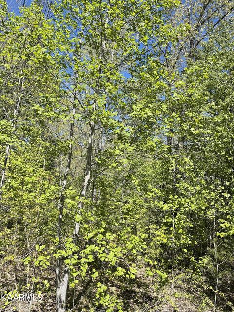 10 Bud Tanner Road, Crossville, TN 38571