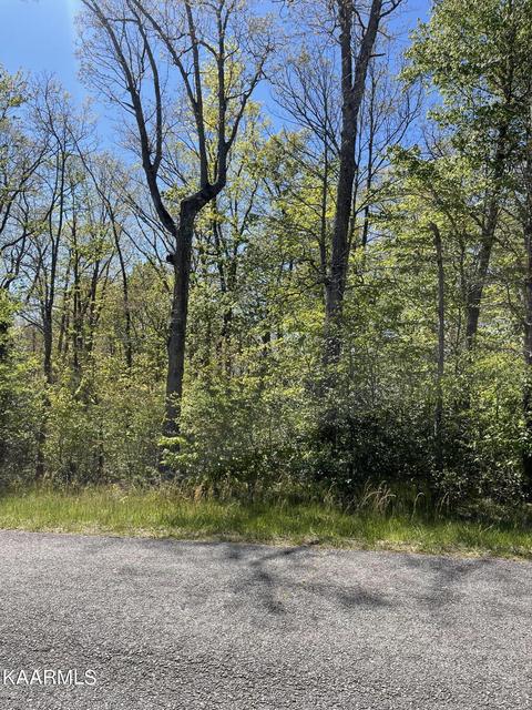 14 Tanner Drive, Crossville, TN 38571