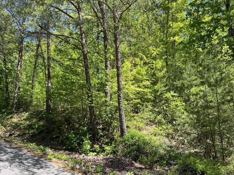 Bowman Drive, Jacksboro, TN 37757