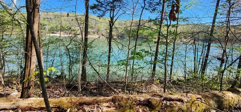 207 Waterside Ln, La Follette, TN 37766