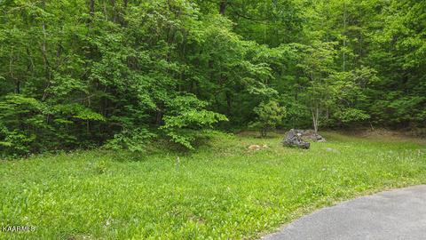 Undisclosed, Sevierville, TN 37876