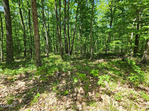 42 Lancaster Ct, Crossville, TN 38558