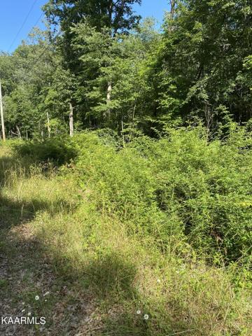 3127 Crow Dr, Crossville, TN 38572