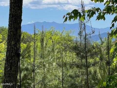 lot134 Summit Trails Drive Dr, Sevierville, TN 37862