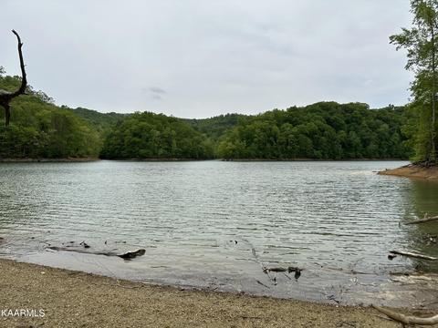 Black Fox Harbor Rd, Washburn, TN 37888