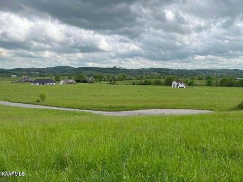Lots 37-38 Sparrow Lane, Speedwell, TN 37870