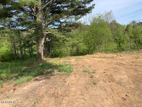 00 Bert Price Rd, Rogersville, TN 37857