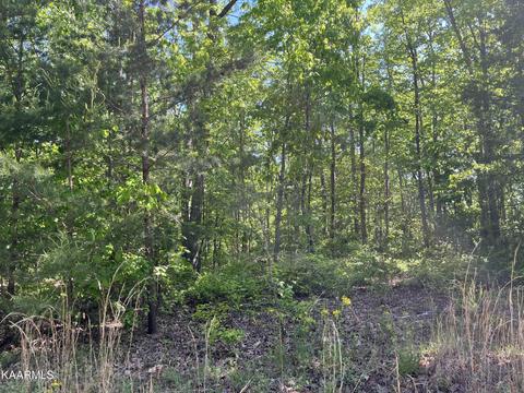 4 Bluff View Drive, Spencer, TN 38585