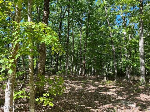 00 Eagles Bluff Cir, Spencer, TN 38585