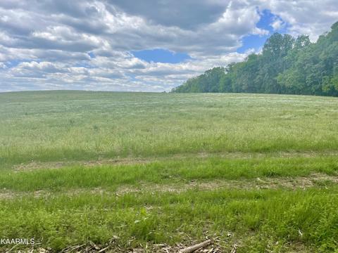 Clark Rd, Rutledge, TN 37861
