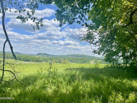 Clark Rd, Rutledge, TN 37861 photo 3