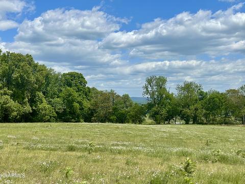 Clark Rd, Rutledge, TN 37861