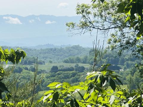 Mountain Grove Lane, Seymour, TN 37865