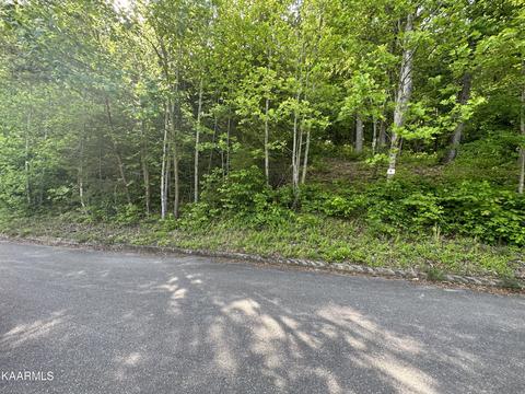 Mountain Grove Lane, Seymour, TN 37865