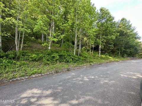 Mountain Grove Lane, Seymour, TN 37865