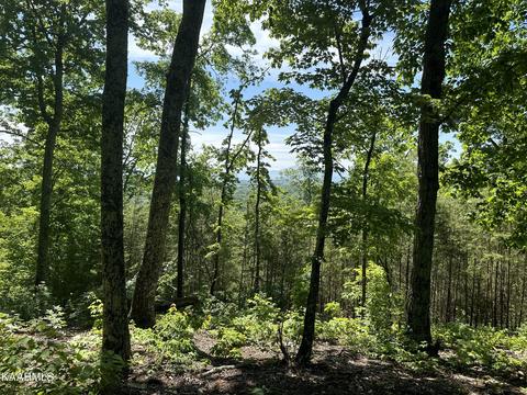 Bobbie Jean Lane, Seymour, TN 37865