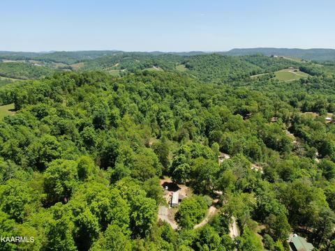 20 8 Acres Molly Hollow Rd, New Tazewell, TN 37825