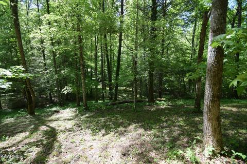 Lot 3 Long Branch Rd, Townsend, TN 37882
