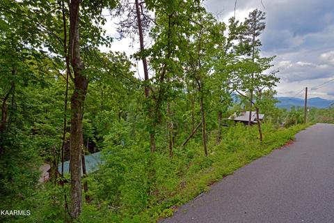 Old Cartertown Rd, Gatlinburg, TN 37738
