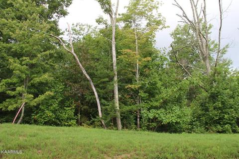 Lot 56 W. Poplar Lane, La Follette, TN 37766