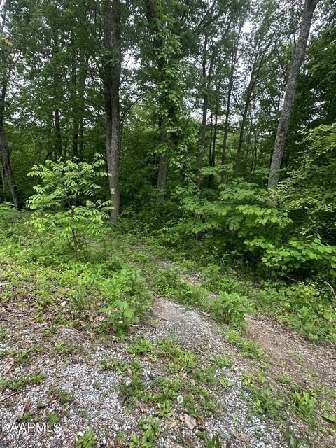 Legend Lane, Caryville, TN 37714