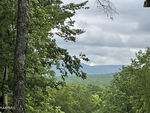 354 Snead Dr, Fairfield Glade, TN 38558