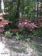 615 Westchester, Fairfield Glade, TN 38558