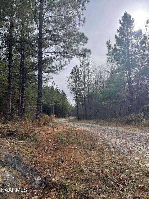 372 Bobcat Holw, Deer Lodge, TN 37726