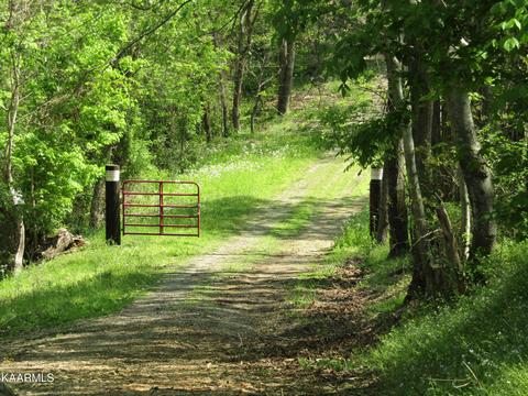 521 Ernest Phann Ln, Gainesboro, TN 38562