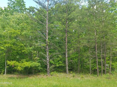 514 Connely Drive, Crossville, TN 38572