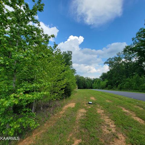 114 W Mountain Dr, Rockwood, TN 37854