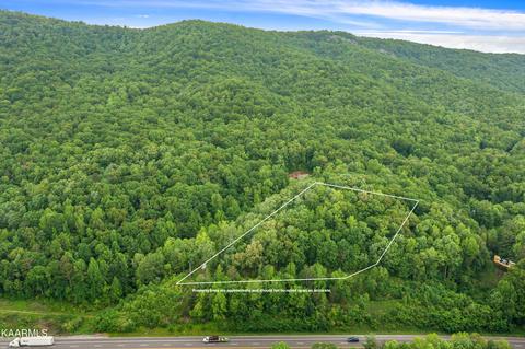 195 Sherwood Ln, Harriman, TN 37748