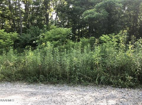 5 05 Ac White Oak Lane Ln, Crawford, TN 38554