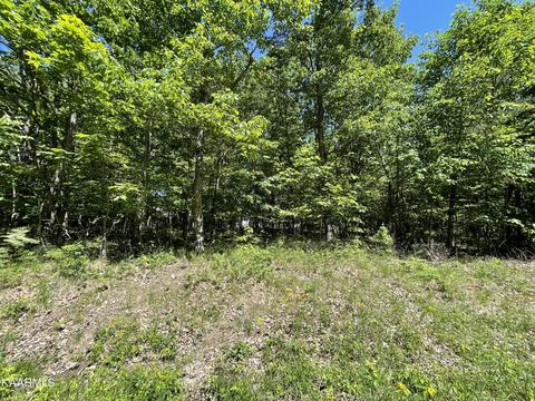312314 Albemarle Cir, Crossville, TN 38558