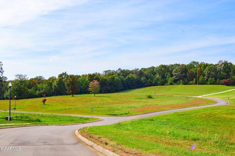 Lot 6 Mountain Meadows Estates, Charleston, TN 37310
