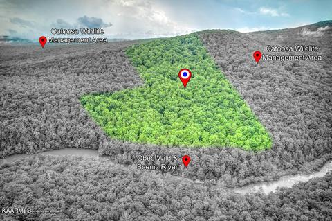 Catoosa Rd, Wartburg, TN 37887
