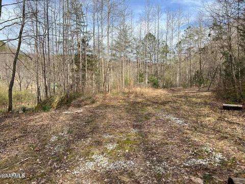 Roses Creek Lot B, Clairfield, TN 37715