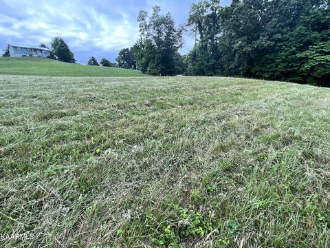 497 Wallace Rd, Luttrell, TN 37779 photo 11