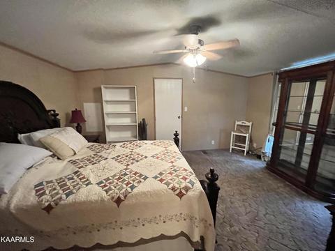497 Wallace Rd, Luttrell, TN 37779 photo 18