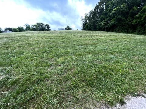 497 Wallace Rd, Luttrell, TN 37779 photo 32