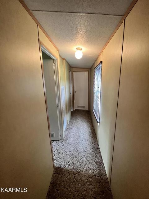 497 Wallace Rd, Luttrell, TN 37779 photo 24