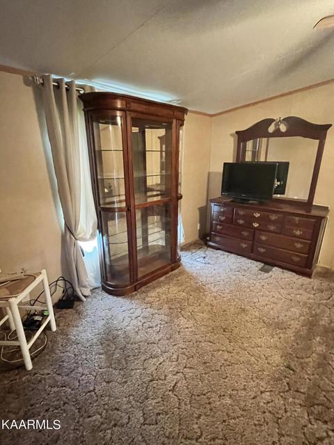 497 Wallace Rd, Luttrell, TN 37779 photo 13