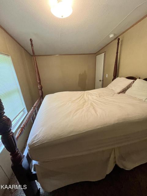 497 Wallace Rd, Luttrell, TN 37779 photo 27