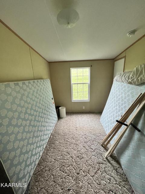 497 Wallace Rd, Luttrell, TN 37779 photo 25