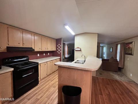 497 Wallace Rd, Luttrell, TN 37779 photo 20