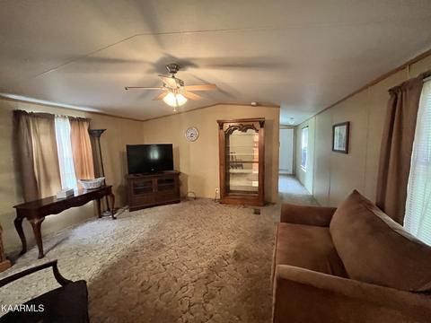 497 Wallace Rd, Luttrell, TN 37779 photo 23